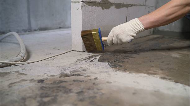 Top rated local Basement Waterproofing specialists in Falmouth, VA